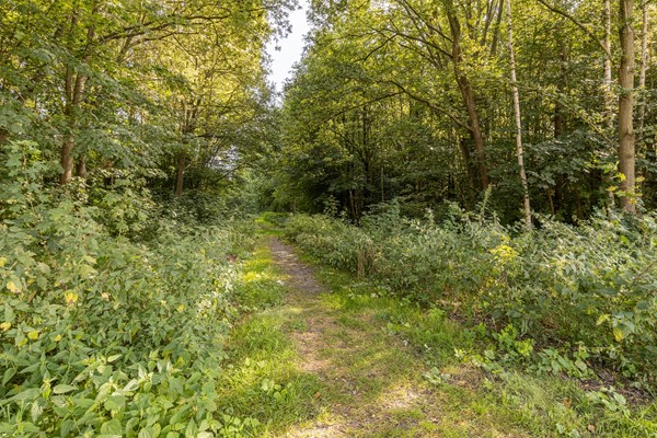 Medium property photo - Akkerweg 34, 9581 GK Musselkanaal